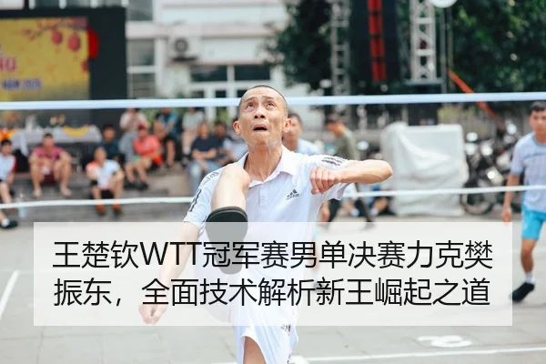 王楚钦WTT冠军赛男单决赛力克樊振东，全面技术解析新王崛起之道